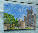 Eastern Illinois University watercolor. Graduation gift, Eastern Illinois University , College wall art,  College WC