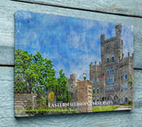 Eastern Illinois University watercolor. Graduation gift, Eastern Illinois University , College wall art,  College WC