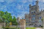 Eastern Illinois University watercolor. Graduation gift, Eastern Illinois University , College wall art,  College WC