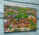 University of Illinois watercolor. Graduation gift, University of Illinois , College wall art,  College WC