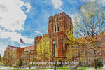 University of Tennessee watercolor, Graduation gift, UT Knoxville , College wall art,  College WC, Volunteers