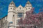 Youngstown State University watercolor. Graduation gift, Youngstown State University , College wall art,  College WC
