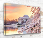 Cherry Blossoms Washington DC Canvas Print - Custom Printed Fine Art Print, Washington DC lovely with Cherry Blossoms