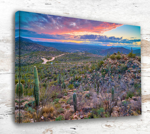 Tucson travel art canvas print, Tucson wall art, Tucson canvas art,   Tucson watercolor canvas wall art,  Tucson Arizona print