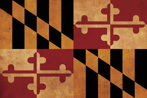 Vintage Maryland Flag on Canvas, Flag, Wall Art, Maryland Photo, Maryland Print, Giclee, Fine Art, crabcake Flag, Single or Multiple Panels