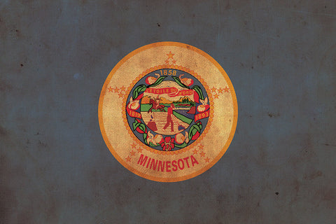 Vintage Minnesota Flag on Canvas, Flag, Wall Art, Minnesota Photo, Minnesota Print,  Fine Art,  Lakes Flag, Single or Multiple Panels