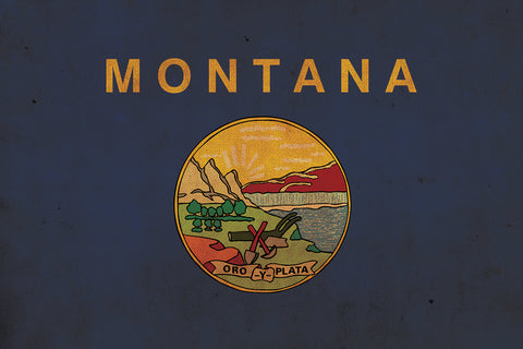 Vintage Montana Flag on Canvas, Montana, Flag, Wall Art, Montana Photo, Montana flag on canvas, Flag, Single or Multiple Panels Indiana flag