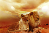 Lion canvas, Lion Canvas, Lion wildlife watercolor Animal Wall canvas,  Wildlife wall art, Lion family watercolor
