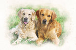 Watercolor Animal Portrait, Custom Animal Portrait, Custom Pet Portrait, Watercolor Pet Painting, Pet Sketch From Photo, Dog lover Cat lover