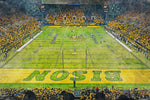 North Dakota Bison, FARGODOME , Watercolor Digital Sketch Print Canvas Print, North Dakota State University, Fargo North Dakota