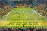 North Dakota Bison, FARGODOME , Watercolor Digital Sketch Print Canvas Print, North Dakota State University, Fargo North Dakota