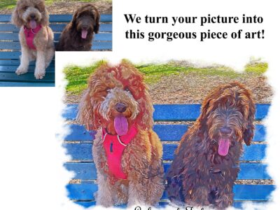 Custom Pet Prints