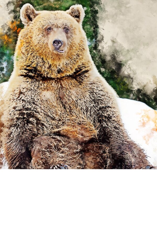 Brown Bear watercolor canvas, Brown Bear watercolor, Wildlife  Brown Bear canvas,  Brown Bear wall art, Wildlife wall art, Animal print