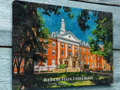 UNIVERSITY OF ILLINOIS STATE CAMPUS CANVAS PRINT HANGING ON WALL