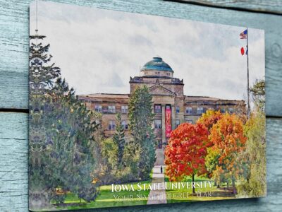 Iowa State University watercolor. Graduation gift, Iowa State University , College wall art,  College WC