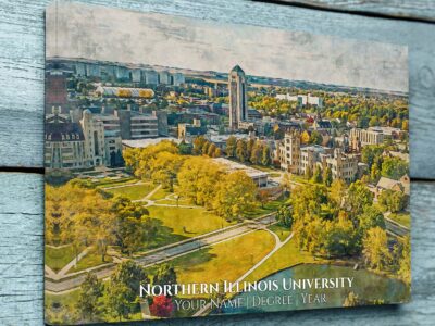 Northern Illinois University watercolor. Graduation gift, Northern Illinois University , College wall art,  College WC