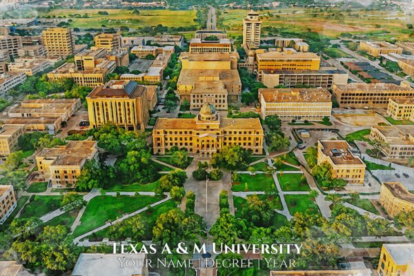 Texas A&M University watercolor. Graduation gift, Texas AM University , College wall art,  College WC - Image 2