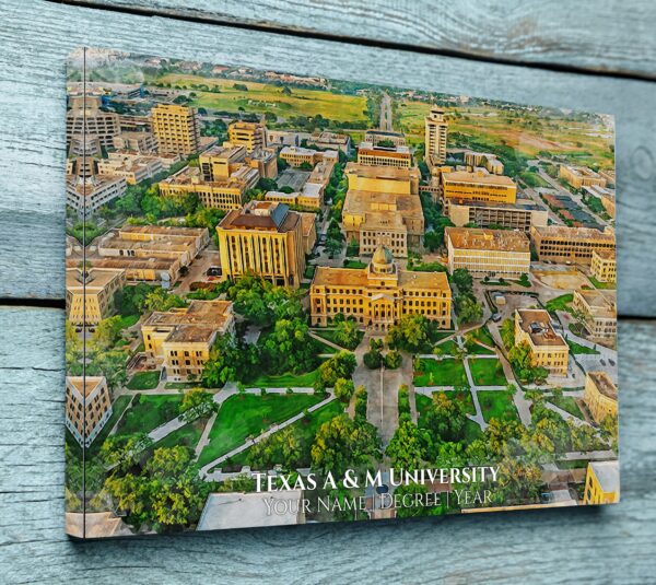 Texas A&M University watercolor. Graduation gift, Texas AM University , College wall art,  College WC