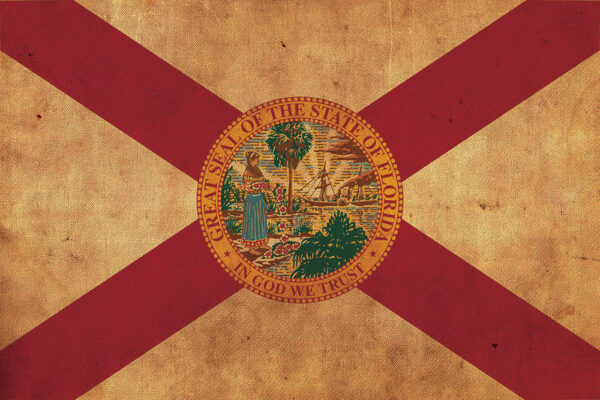 Vintage Florida Flag on Canvas, Florida,  Flag, Wall Art, FloridavPhoto, Florida Print, Fine Art, Sunshine state, Single or Multiple Panels