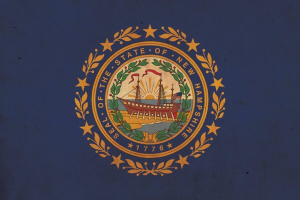 Vintage New Hampshire  Flag on Canvas, New Hampshire Flag, Wall Art, New Hampshire Photo New Hampshire Print, Single or Multiple Panels