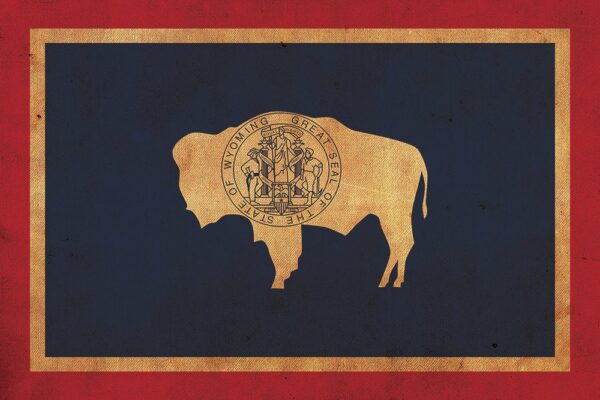 Vintage Wyoming Flag on Canvas, Wyoming, Wall Art, Wyoming Photo, Wyoming Print, Fine Art, Wyoming Flag, Single or Multiple Panels