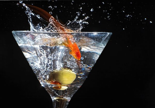 Martini photo canvas, Cool mancave canvas, Bar Martini wall art Print, wall art, Canvas gifts, art, Colorful wall canvas, Man Cave Canvas