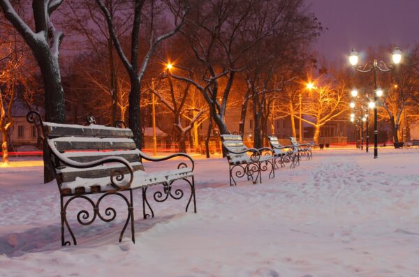 Beautiful park canvas in winter  Printed on Canvas, Nature canvas, Landscape Canvas Print, Park wall art, Canvas gifts, Park photo print