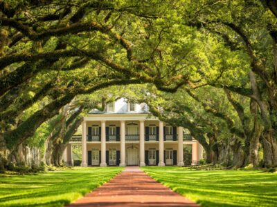 Oak Alley plantation canvas, New Orleans Canvas, Plantation canvas, Old South wall art, Canvas Gift, Oak Alley Plantation canvas