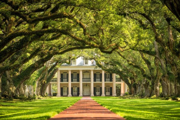 Oak Alley plantation canvas, New Orleans Canvas, Plantation canvas, Old South wall art, Canvas Gift, Oak Alley Plantation canvas