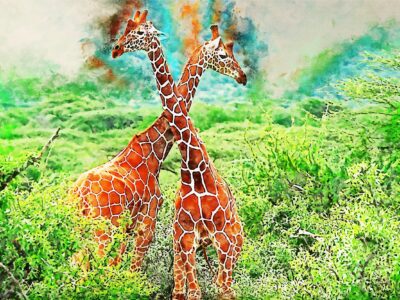 Giraffe watercolor canvas, Africa giraffe watercolor, Wildlife giraffe canvas, Giraffe wall art, Wildlife wall art, Animal print canvas