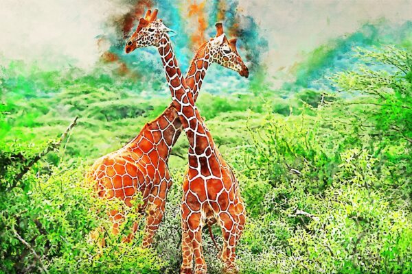 Giraffe watercolor canvas, Africa giraffe watercolor, Wildlife giraffe canvas, Giraffe wall art, Wildlife wall art, Animal print canvas