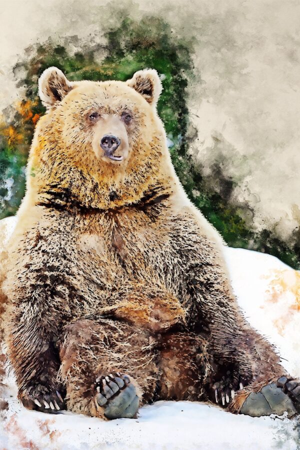Brown Bear watercolor canvas, Brown Bear watercolor, Wildlife  Brown Bear canvas,  Brown Bear wall art, Wildlife wall art, Animal print