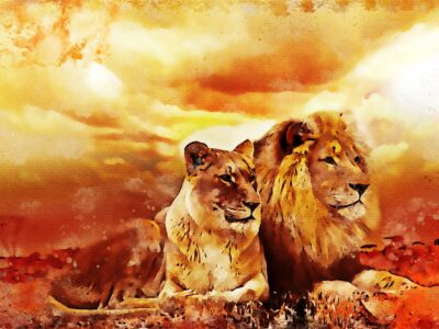 Lion watercolor canvas, Lion Canvas, Lion wildlife watercolor Animal Wall canvas,  Wildlife wall art, Lion family watercolor