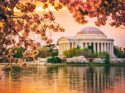 Beautiful Cherry Blossom canvas photo,  Washington DC canvas, Monument Canvas Print, Blossom wall art, Canvas gifts, Cherry Blossom canvas