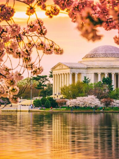 Beautiful Cherry Blossom canvas photo,  Washington DC canvas, Monument Canvas Print, Blossom wall art, Canvas gifts, Cherry Blossom canvas