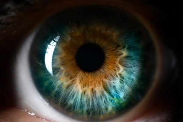 Photo of eye on canvas  Print, Eye wall art,  Wall Art, Gift Ideas ,  Modern art abstract ey