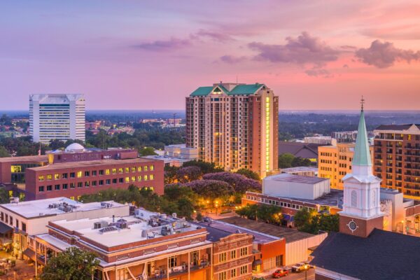 Tallahassee Florida skyline on Canvas, Florida State  ,Florida State wall art, Tallahassee wall art,FSU, Florida State university, Seminoles