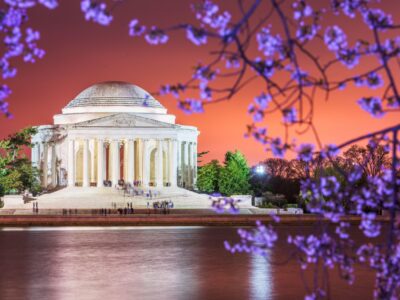 Beautiful Cherry Blossom canvas photo,  Washington DC canvas, Monument Canvas Print, Blossom wall art, Canvas gifts, Cherry Blossom canvas