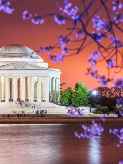 Beautiful Cherry Blossom canvas photo,  Washington DC canvas, Monument Canvas Print, Blossom wall art, Canvas gifts, Cherry Blossom canvas