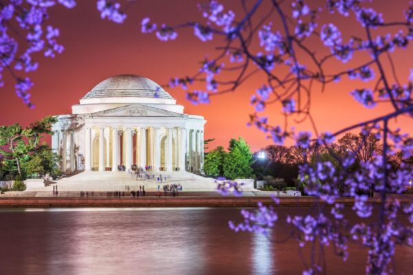 Beautiful Cherry Blossom canvas photo,  Washington DC canvas, Monument Canvas Print, Blossom wall art, Canvas gifts, Cherry Blossom canvas