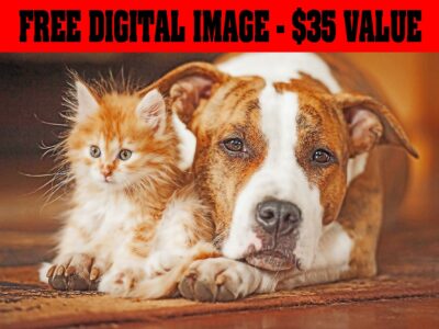 Pet Painting, Pet Portrait, Custom Pet Portrait, Custom Dog Portrait, Custom Watercolor Portrait, Dog Art, Dog Watercolor, Dog Painting