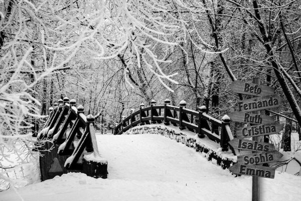 Personalized names canvas, Snowy central park custom canvas, Sign post names  Family custom gift canvas, Family sign
