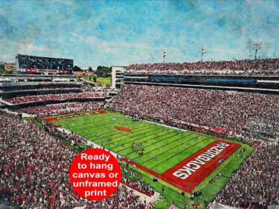 Arkansas Razorbacks, Donald W. Reynolds Razorback Stadium , Watercolor Digital Sketch Print Canvas Print, University of Arkansas Football