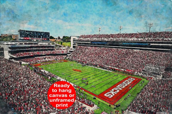 Arkansas Razorbacks, Donald W. Reynolds Razorback Stadium , Watercolor Digital Sketch Print Canvas Print, University of Arkansas Football