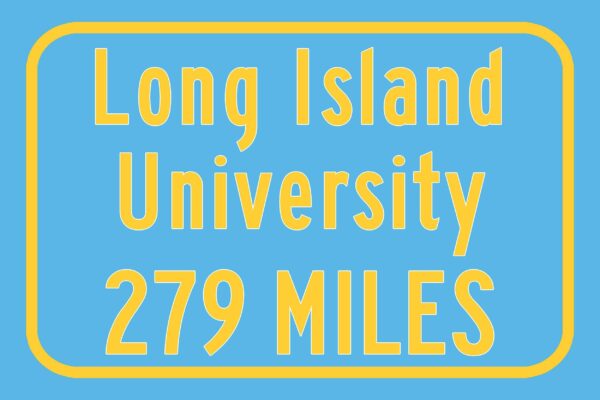 Long Island University / Custom College Highway Distance Sign / Long Island Sharks / Greeenvale New York / - Image 3