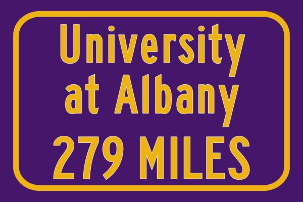 University at Albany / Custom College Highway Distance Sign /University at Albany /Albany Great Danes / Albany New York - Image 3