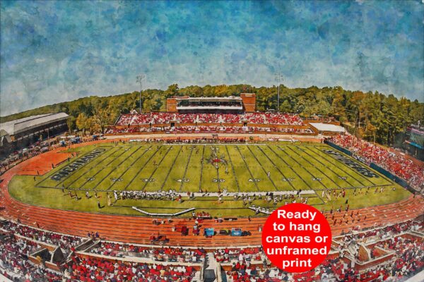 Richmond Spiders, E. Claiborne Robins Stadium , Watercolor Digital Sketch Print Canvas Print, Richmond Virginia, University of Richmond