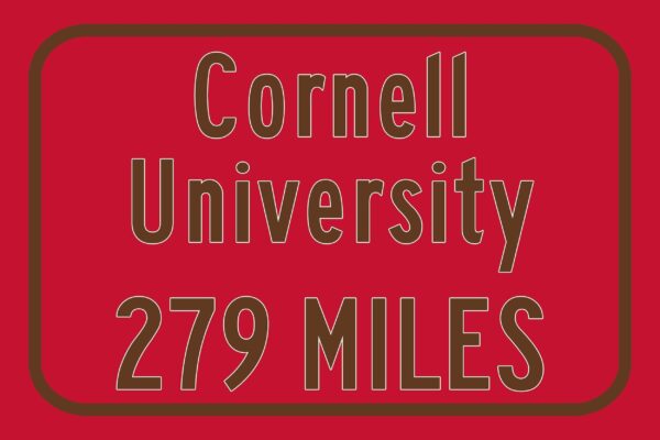 Cornell University / Custom College Highway Distance Sign / Cornell University / Ithaca New york /  Cornell Big Red / - Image 3