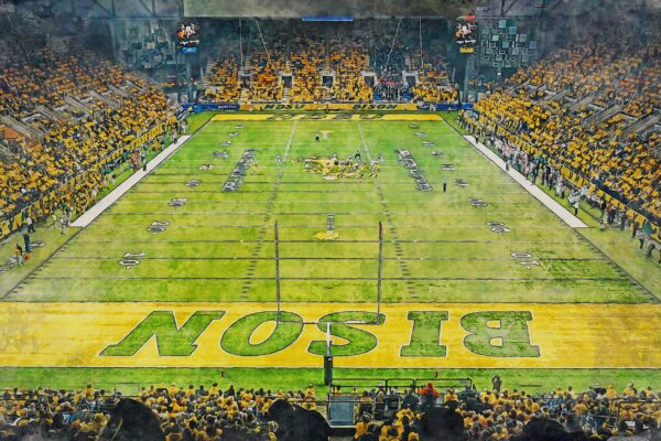 North Dakota Bison, FARGODOME , Watercolor Digital Sketch Print Canvas Print, North Dakota State University, Fargo North Dakota - Image 3