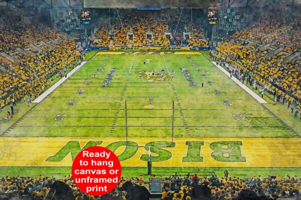 North Dakota Bison, FARGODOME , Watercolor Digital Sketch Print Canvas Print, North Dakota State University, Fargo North Dakota